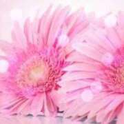 ヒメ日記 2025/02/28 15:19 投稿 はるか 厚木人妻城