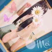 ヒメ日記 2024/12/28 19:14 投稿 めい もしもし亀よ亀さんよ 名古屋店