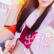 ヒメ日記 2025/01/19 20:03 投稿 めい もしもし亀よ亀さんよ 名古屋店