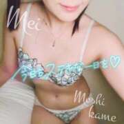 ヒメ日記 2025/01/20 00:10 投稿 めい もしもし亀よ亀さんよ 名古屋店