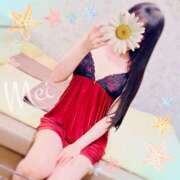 ヒメ日記 2025/04/03 21:05 投稿 めい もしもし亀よ亀さんよ 名古屋店