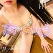 ヒメ日記 2025/06/05 22:51 投稿 めい もしもし亀よ亀さんよ 名古屋店