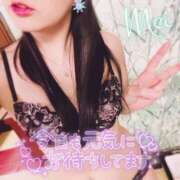 ヒメ日記 2025/06/25 19:33 投稿 めい もしもし亀よ亀さんよ 名古屋店