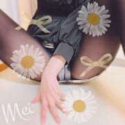 ヒメ日記 2025/08/22 00:30 投稿 めい もしもし亀よ亀さんよ 名古屋店