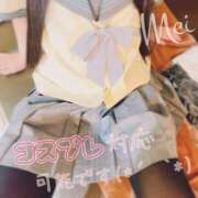 ヒメ日記 2025/11/20 19:24 投稿 めい もしもし亀よ亀さんよ 名古屋店