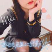 ヒメ日記 2025/12/29 17:27 投稿 めい もしもし亀よ亀さんよ 名古屋店