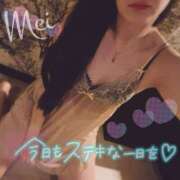 ヒメ日記 2026/01/15 22:04 投稿 めい もしもし亀よ亀さんよ 名古屋店