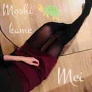 ヒメ日記 2026/01/31 08:00 投稿 めい もしもし亀よ亀さんよ 名古屋店