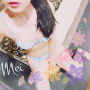 ヒメ日記 2026/02/01 22:50 投稿 めい もしもし亀よ亀さんよ 名古屋店