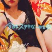 ヒメ日記 2026/02/12 21:10 投稿 めい もしもし亀よ亀さんよ 名古屋店