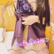 めい ※無題 もしもし亀よ亀さんよ 名古屋店