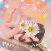 ヒメ日記 2026/04/12 23:21 投稿 めい もしもし亀よ亀さんよ 名古屋店