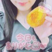 ヒメ日記 2026/07/02 21:39 投稿 めい もしもし亀よ亀さんよ 名古屋店