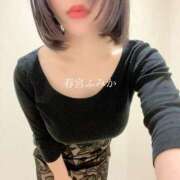 ヒメ日記 2025/12/23 10:12 投稿 春宮ふみか グランエステ東京 品川（シンデレラグループ）