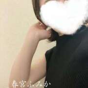 ヒメ日記 2025/12/25 10:09 投稿 春宮ふみか グランエステ東京 品川（シンデレラグループ）