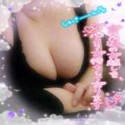 ヒメ日記 2024/12/16 10:59 投稿 なお 愛媛松山ちゃんこ