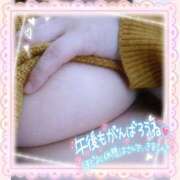 ヒメ日記 2024/12/27 13:19 投稿 なお 愛媛松山ちゃんこ