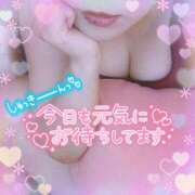 ヒメ日記 2024/12/29 12:59 投稿 なお 愛媛松山ちゃんこ