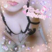 ヒメ日記 2024/12/29 16:54 投稿 なお 愛媛松山ちゃんこ