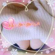 ヒメ日記 2025/02/21 12:19 投稿 なお 愛媛松山ちゃんこ