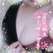 ヒメ日記 2025/02/22 12:19 投稿 なお 愛媛松山ちゃんこ