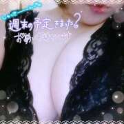 ヒメ日記 2025/02/23 12:19 投稿 なお 愛媛松山ちゃんこ