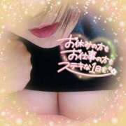 ヒメ日記 2025/02/25 09:53 投稿 なお 愛媛松山ちゃんこ