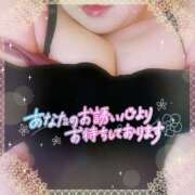 ヒメ日記 2025/02/27 19:19 投稿 なお 愛媛松山ちゃんこ