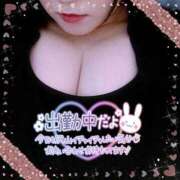 ヒメ日記 2025/03/01 12:39 投稿 なお 愛媛松山ちゃんこ