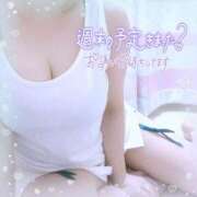 ヒメ日記 2025/03/15 15:29 投稿 なお 愛媛松山ちゃんこ