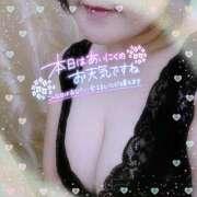 ヒメ日記 2025/03/16 11:09 投稿 なお 愛媛松山ちゃんこ