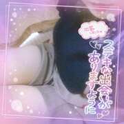 ヒメ日記 2025/03/21 11:19 投稿 なお 愛媛松山ちゃんこ