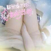 ヒメ日記 2025/03/25 18:09 投稿 なお 愛媛松山ちゃんこ