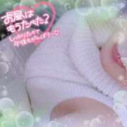 ヒメ日記 2025/03/26 12:29 投稿 なお 愛媛松山ちゃんこ