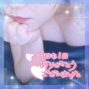 ヒメ日記 2025/03/29 00:29 投稿 なお 愛媛松山ちゃんこ