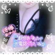 ヒメ日記 2025/03/31 14:49 投稿 なお 愛媛松山ちゃんこ