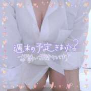 ヒメ日記 2025/04/04 17:49 投稿 なお 愛媛松山ちゃんこ