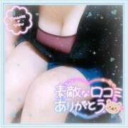 ヒメ日記 2025/04/05 11:29 投稿 なお 愛媛松山ちゃんこ