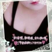 ヒメ日記 2025/04/07 16:12 投稿 なお 愛媛松山ちゃんこ