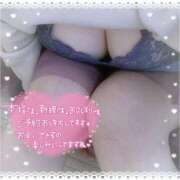 ヒメ日記 2025/04/09 13:19 投稿 なお 愛媛松山ちゃんこ