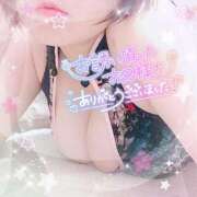 ヒメ日記 2025/04/10 01:39 投稿 なお 愛媛松山ちゃんこ