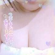 ヒメ日記 2025/04/15 09:59 投稿 なお 愛媛松山ちゃんこ