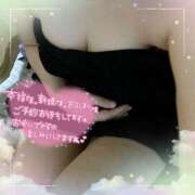 ヒメ日記 2025/04/18 11:09 投稿 なお 愛媛松山ちゃんこ