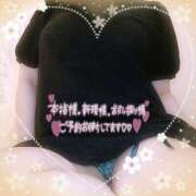 ヒメ日記 2025/04/20 10:09 投稿 なお 愛媛松山ちゃんこ