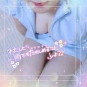 ヒメ日記 2025/04/22 18:43 投稿 なお 愛媛松山ちゃんこ