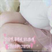 ヒメ日記 2025/04/23 13:29 投稿 なお 愛媛松山ちゃんこ