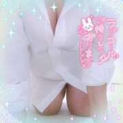 ヒメ日記 2025/04/28 16:59 投稿 なお 愛媛松山ちゃんこ