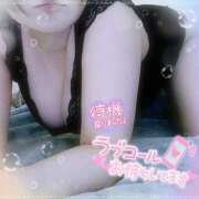 ヒメ日記 2025/05/12 15:59 投稿 なお 愛媛松山ちゃんこ