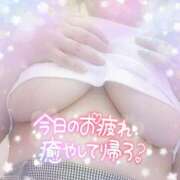ヒメ日記 2025/05/12 18:49 投稿 なお 愛媛松山ちゃんこ
