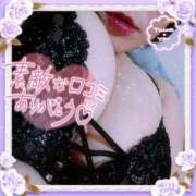 ヒメ日記 2025/05/13 13:49 投稿 なお 愛媛松山ちゃんこ